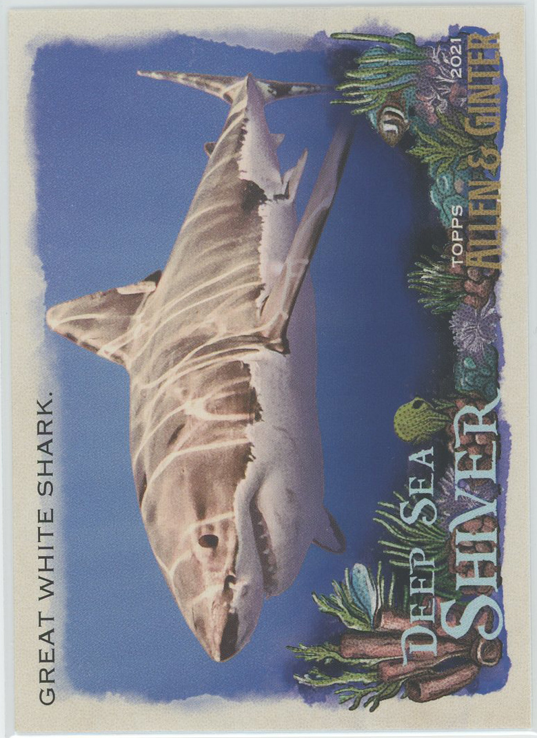 #DSS-1 Great White Shark