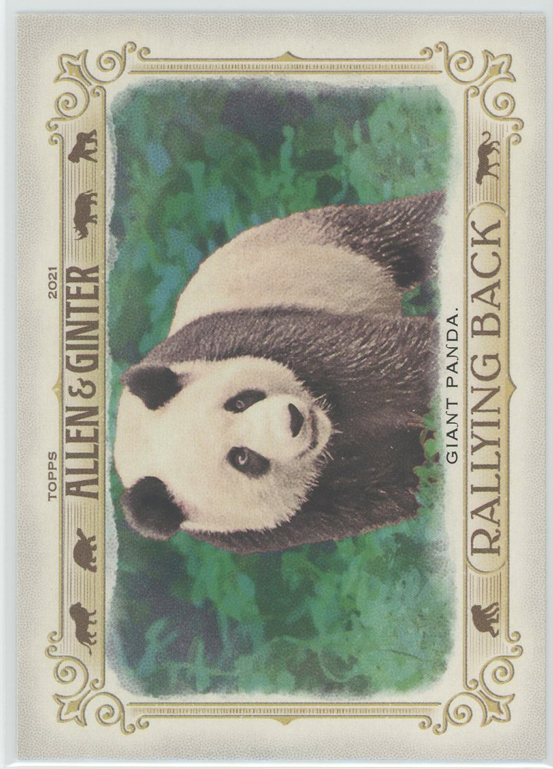 #RB-2 Giant Panda