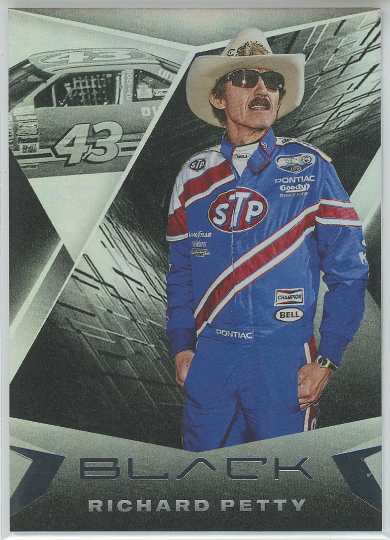 #13 Richard Petty