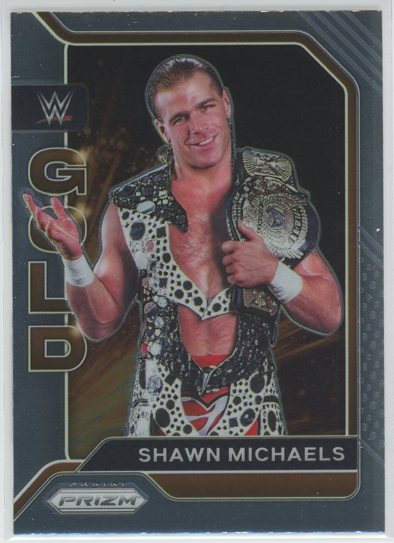 #19 Shawn Michaels